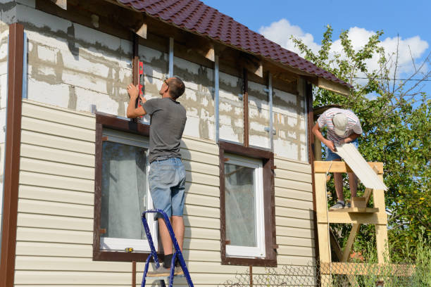 Best Custom Trim and Detailing for Siding  in Johnston, IA