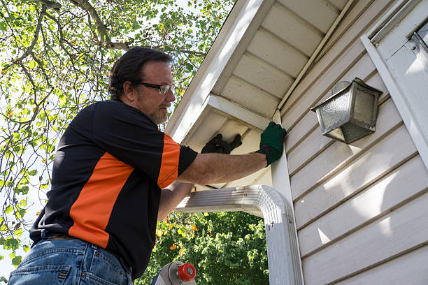 Best Stone Veneer Siding  in Johnston, IA